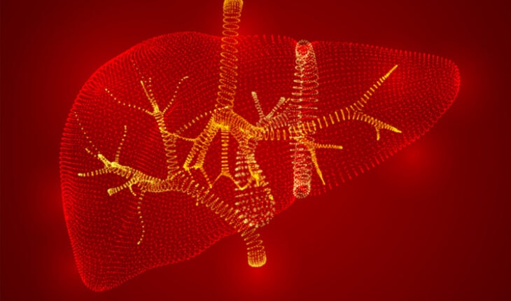 liver scans