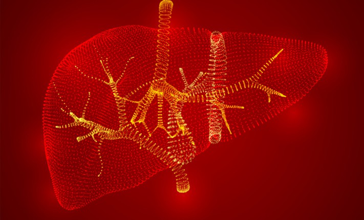 liver scans