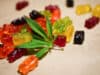 FSA guidance on cannabidiol products