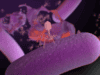 Using “superhero bugs” and AI to save lives from infections