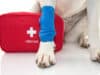 Urgent Help Needed: First aid for dogs