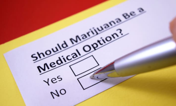 largest drug survey