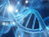 New DNA origami technique promises breakthroughs in medicine