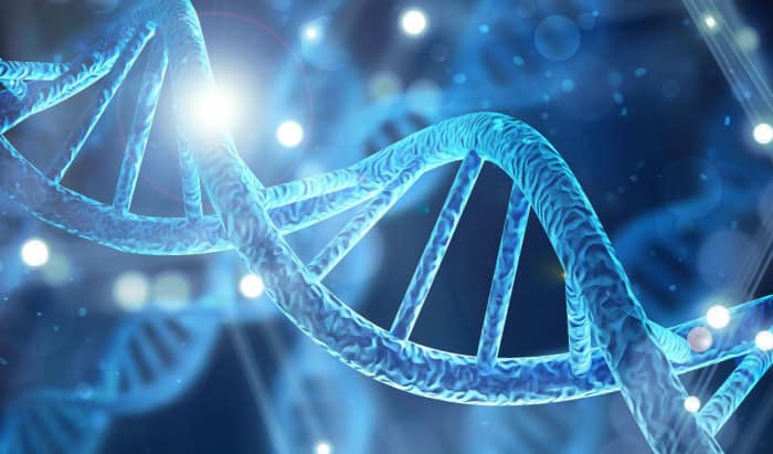 DNA