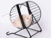 Exercise can help slow cognitive decline