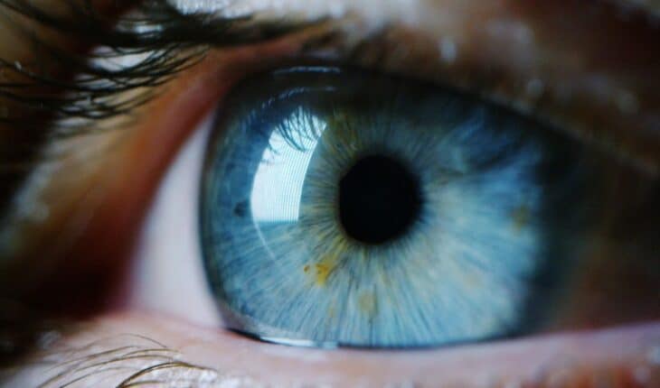 vision