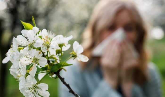 allergic