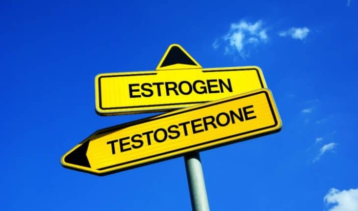 Sex Hormones
