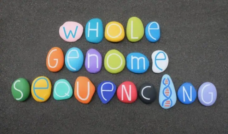 whole genome