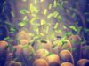 Gut microbiome could delay onset of type 1 diabetes
