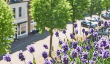 longer pollen seasons