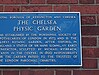 Cadogan: A Chelsea Family By Tamsin Perrett