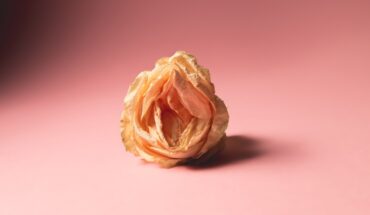 Menopausal Sexual Health