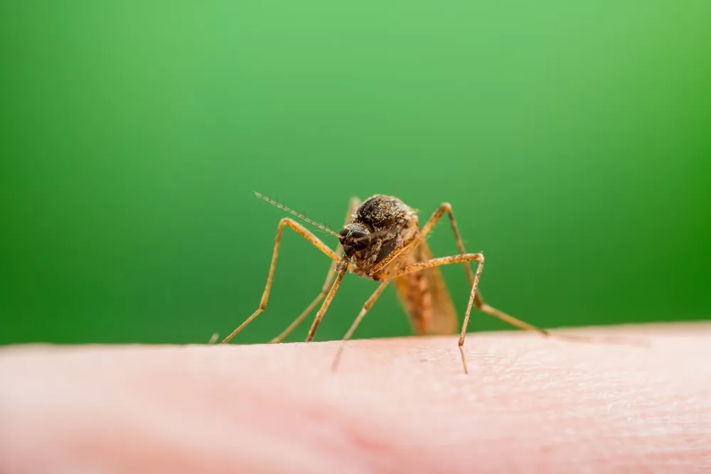 Climate change is reshaping public health risks