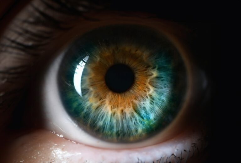 Severs Pain Pattern Eyes could unlock personalised pain relief with virtual reality