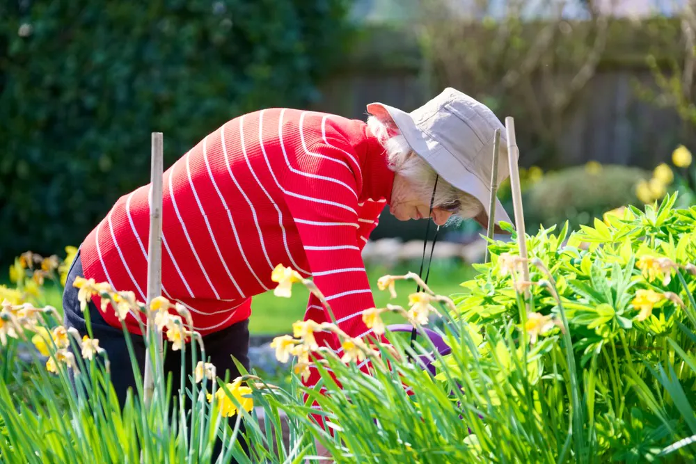 Elderly more at risk from heatwaves