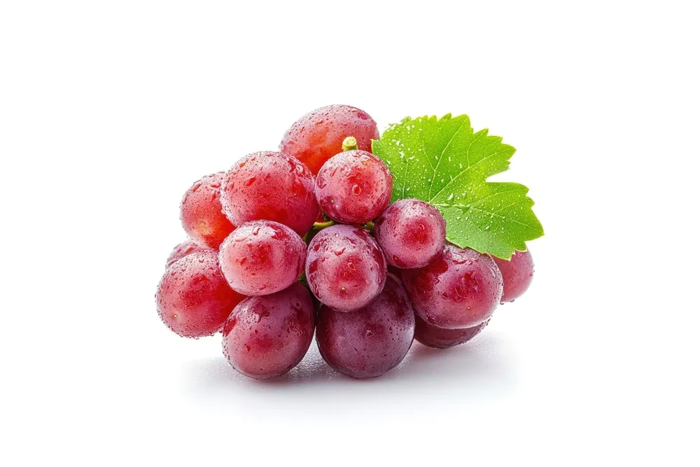 Potential heart health benefits of red berry grapes