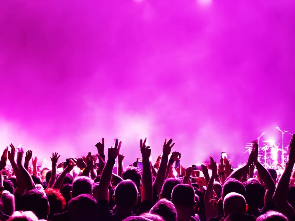 Festival health survival guide