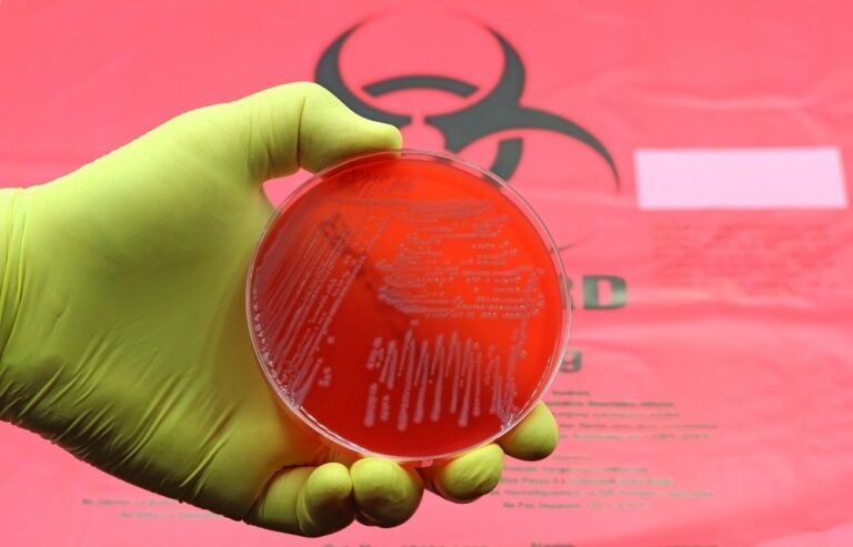 Superbug secrets revealed in new study