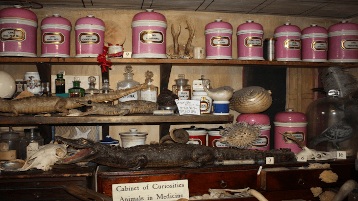 The Worshipful Society of Apothecaries