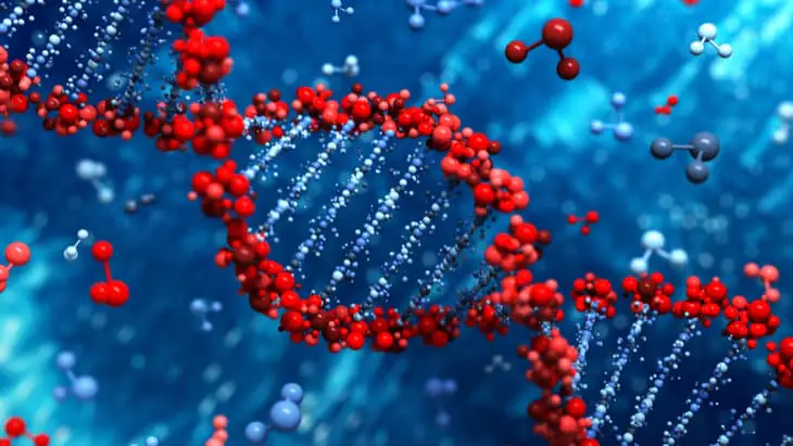Genetic clues for understanding lymphoma