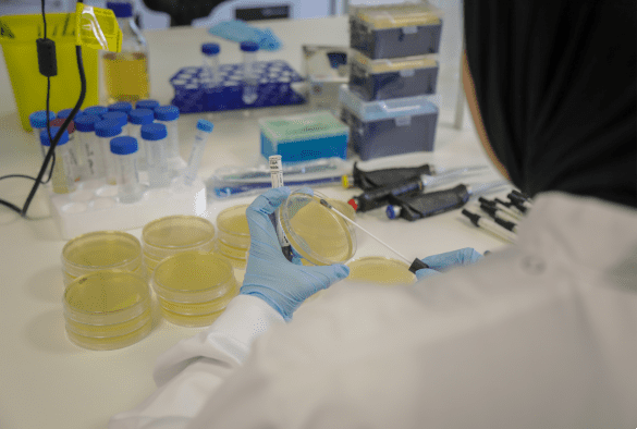 Global Antibiotic Research and Development Partnership