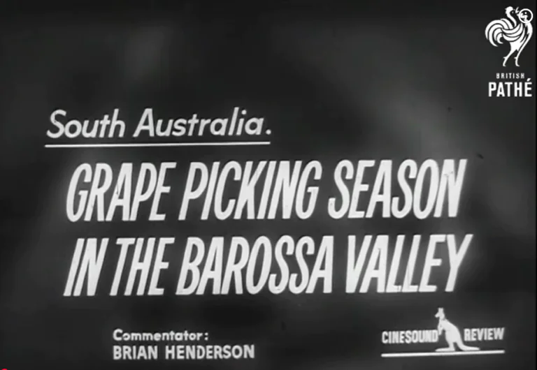 Grape Harvest (1962)