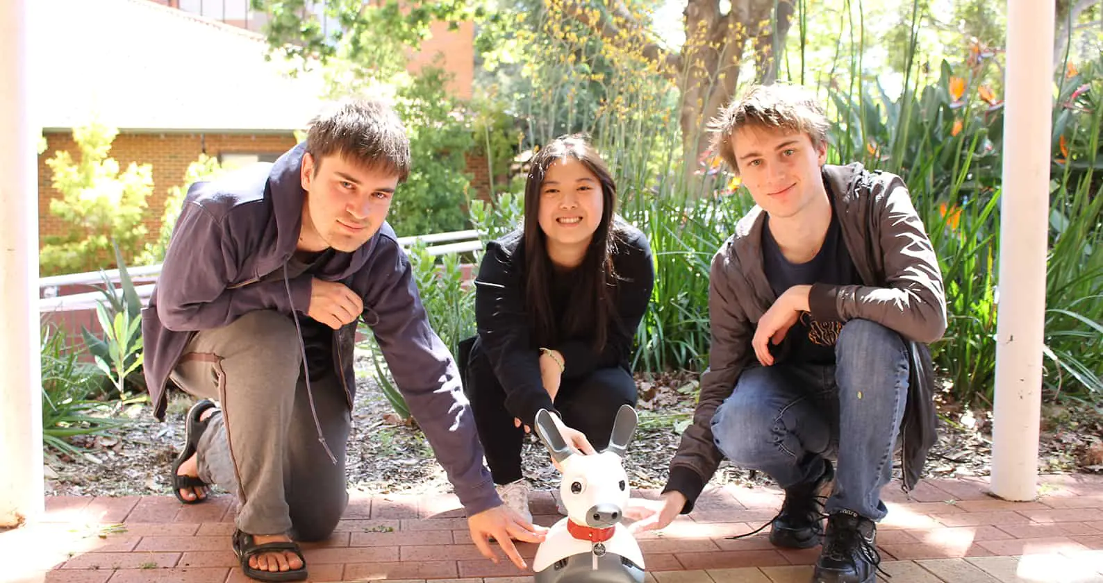 Robot ‘puppy’ MiRo for aged care residents MiRo