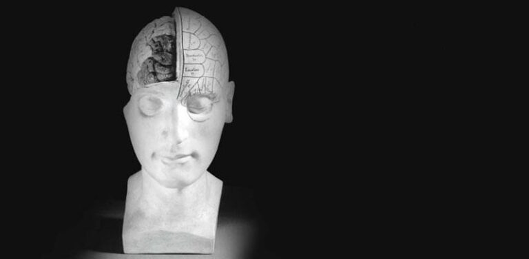 Journeys through Medicine