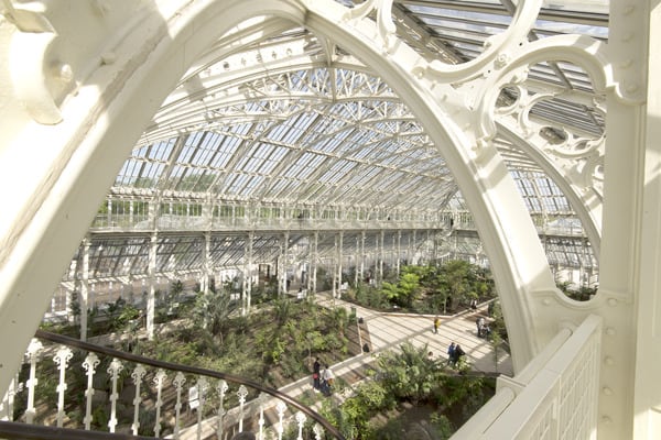 Revamped Kew – saving plants that may help to cure cancer