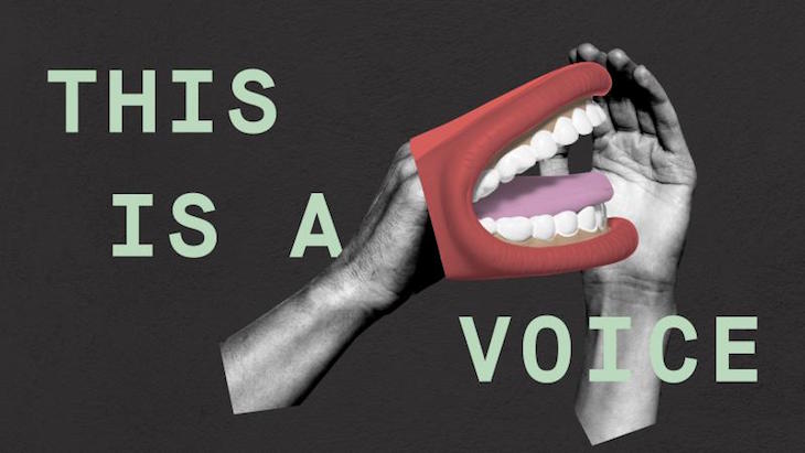 Unravelling the Voice
