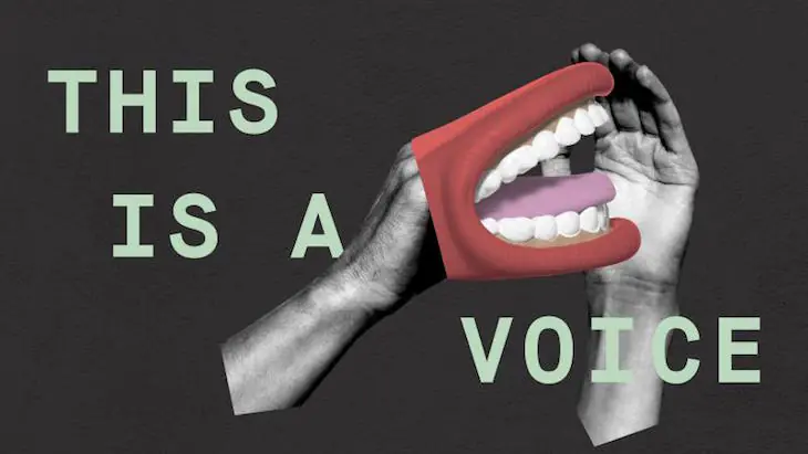 Unravelling the Voice