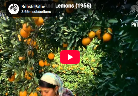 Oranges And Lemons (1956)