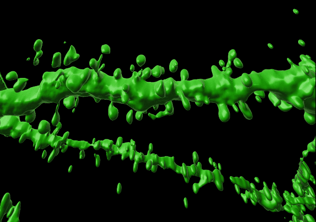 New lipid-based pathway discovered as key to memory formation