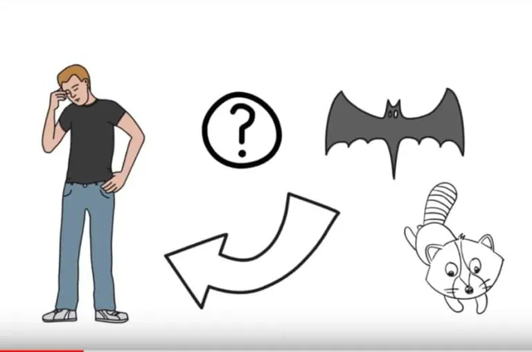 What is Rabies?