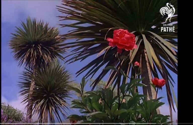Wish you were here?