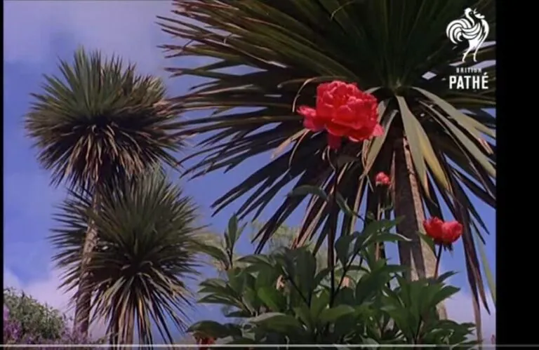 Wish you were here?