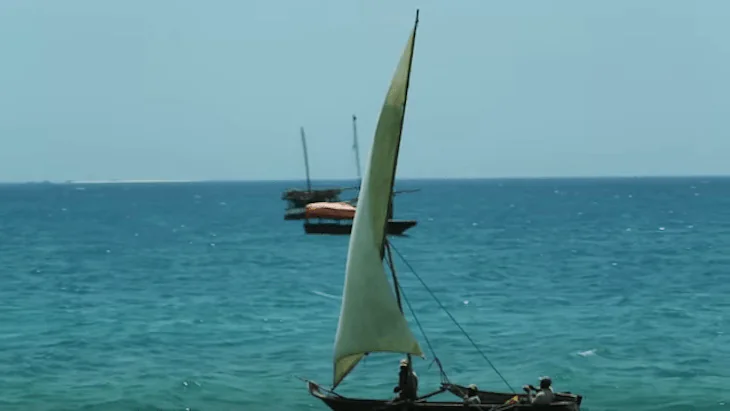 Strategic Action for Health in Small Island Developing States The Hippocratic Post - malaria