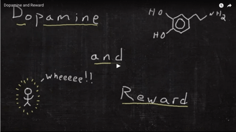 Dopamine and Reward