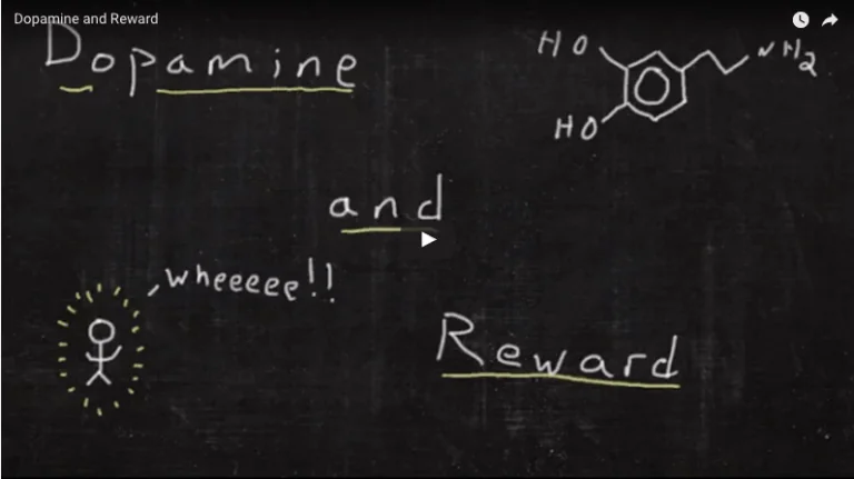 Dopamine and Reward