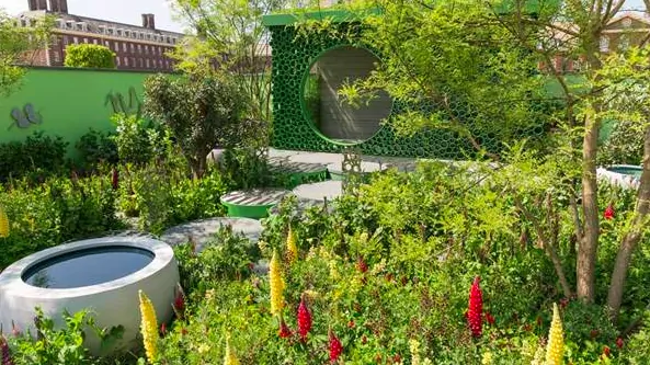 Doctor wins Gold at Chelsea