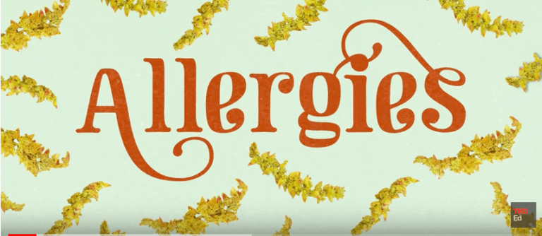 Why do people have seasonal allergies