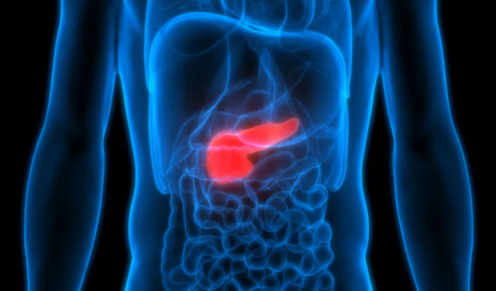 Scientists discover mechanism controlling spread of pancreatic cancer pancreatic