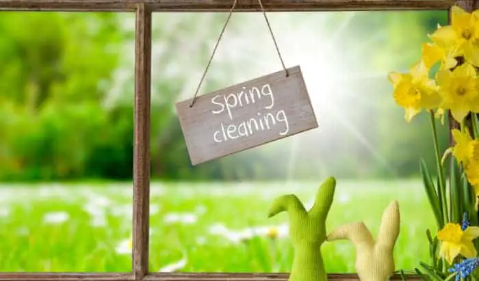 Spring Clean Your Mental Health
