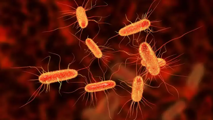 Harnessing the healing power within our cells