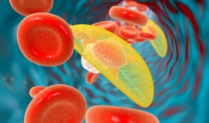 Could brain parasites be used to treat cognitive disorders?