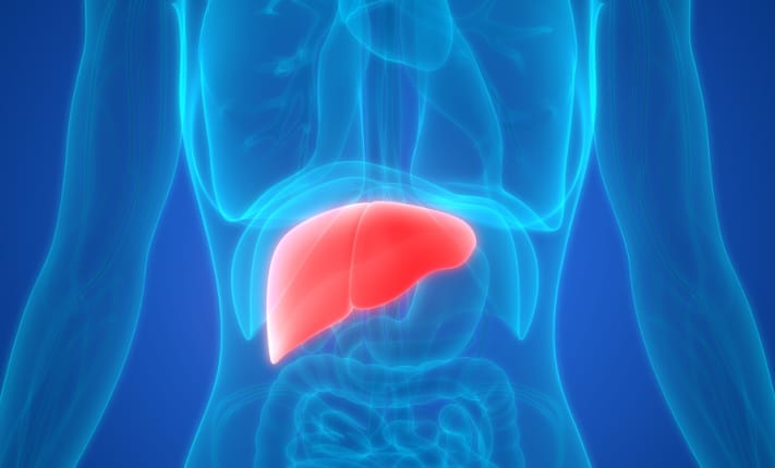 Focus on the gut-liver axis