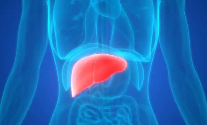 Focus on the gut-liver axis