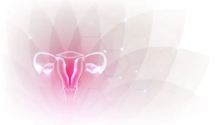 Genetic study of endometriosis reveals clues to better treatment
