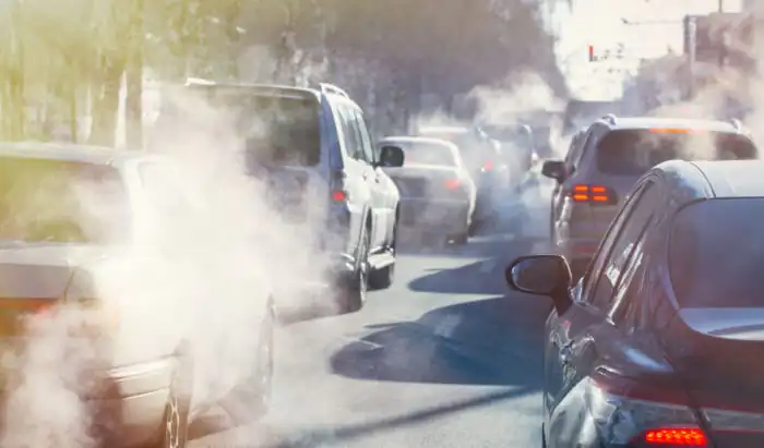 Ultrafine particles from traffic disturb human olfactory cell function